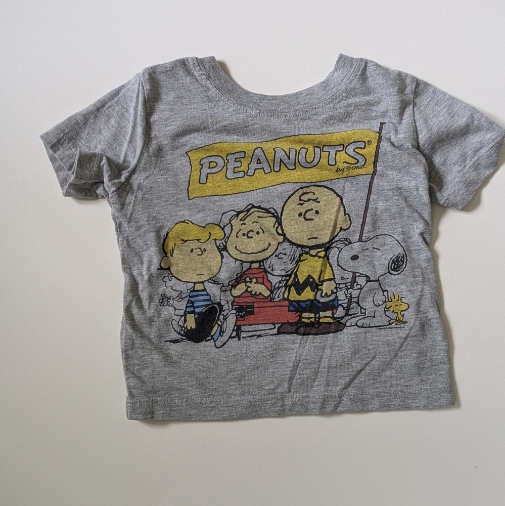Peanuts Gray Kids T-Shirt